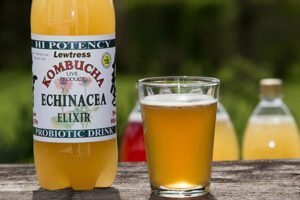 What Is Kombucha And What Are Its Benefits?