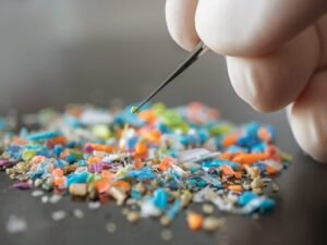 How Chlorella helps eliminate microplastic toxins
