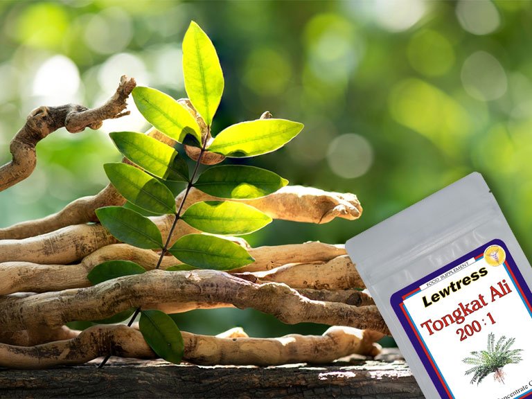 Tongkat Ali for women energy hormones and vitality