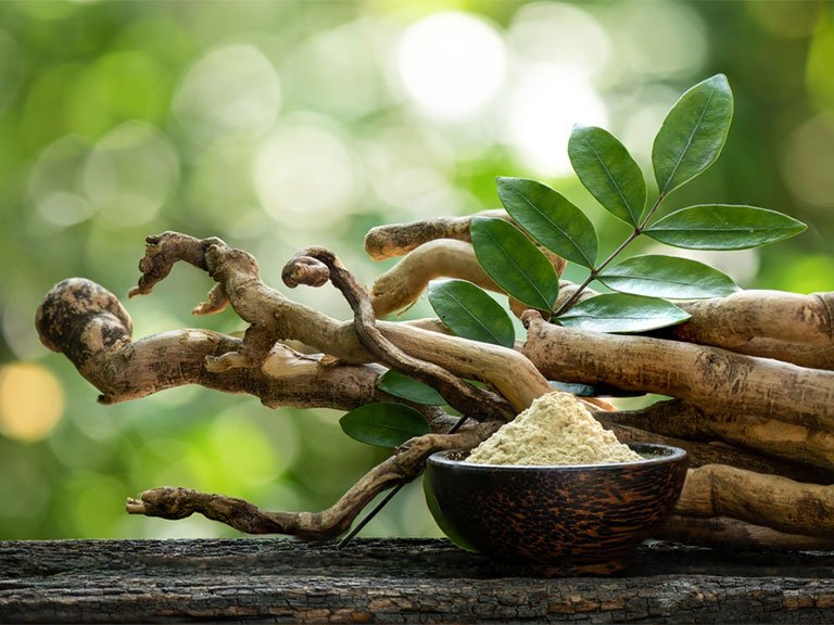 Tongkat Ali benefits what the science really says